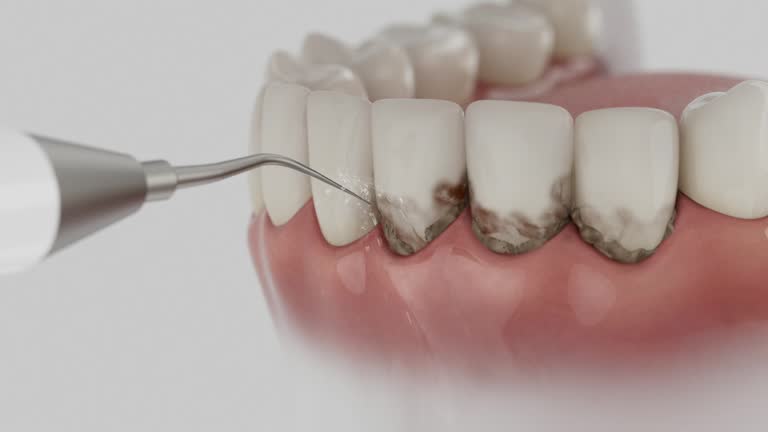 Reliable Dental contractor in Terre Haute, IN by Dentist Open Now